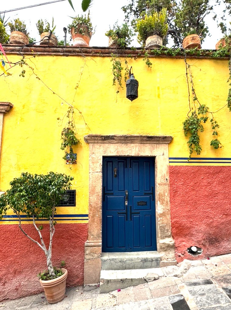Doors of My Dreams - Jan Davidson Collection
