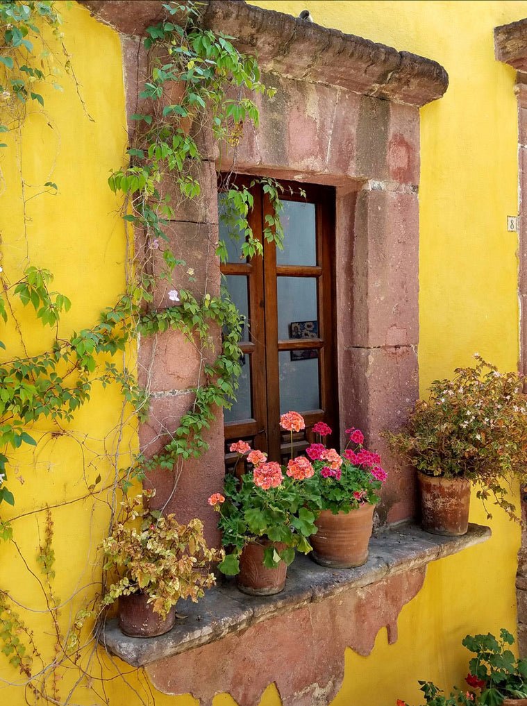 Doors of My Dreams - Jan Davidson Collection