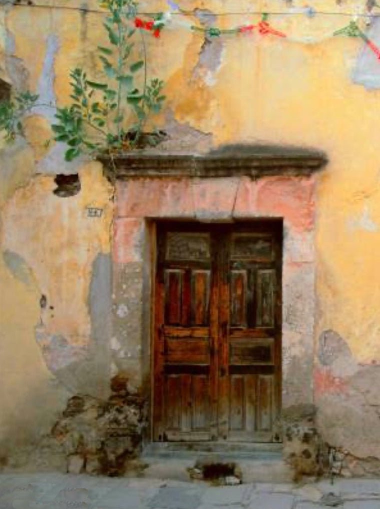 Doors of My Dreams - Jan Davidson Collection