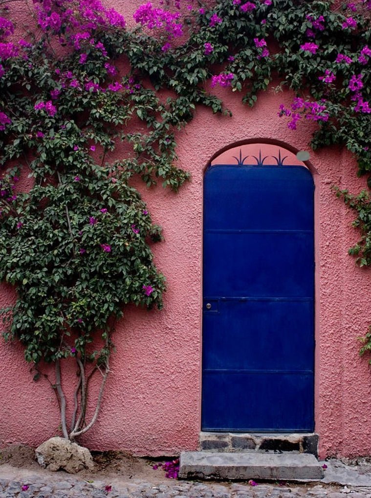 Doors of My Dreams - Jan Davidson Collection